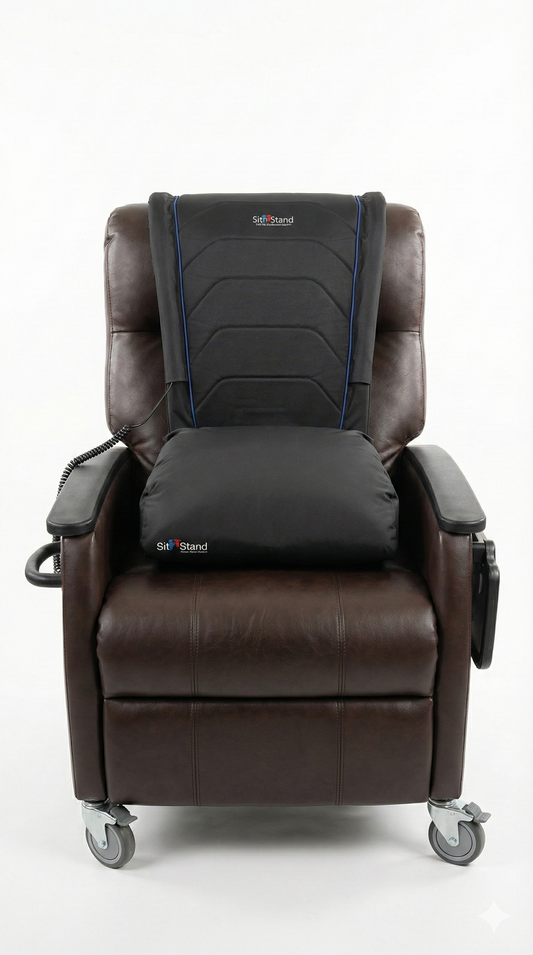 Lift Assist Classic Pro Edition