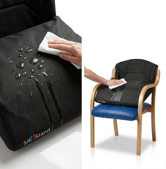 Lift Assist Classic Pro Edition