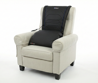 Lift Assist Classic Pro Edition