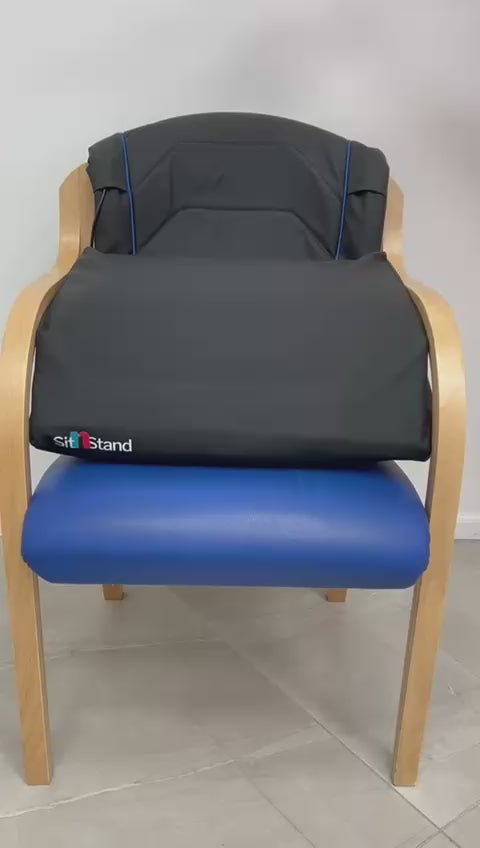 Lift Assist Classic Pro Edition